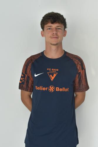 Beránek David